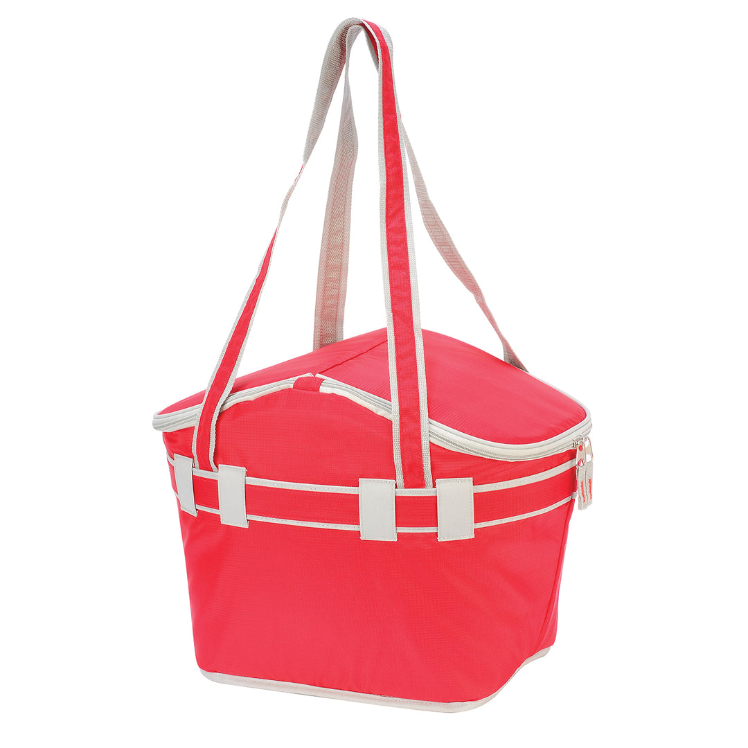 צידנית לפיקניק